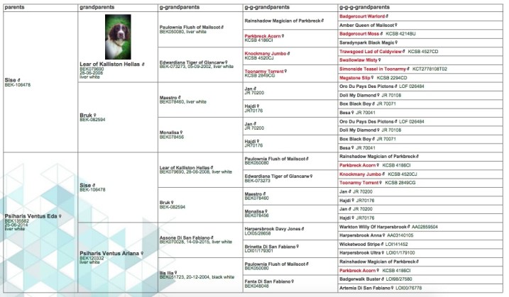 Screen Shot 2023-03-14 at 08.21.33